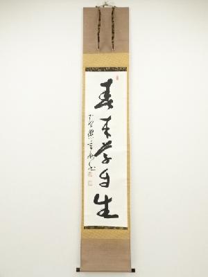 黄檗宗萬福寺　村瀬玄妙筆　「春来草自生」一行書　肉筆紙本掛軸（共箱）